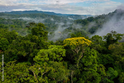 A mountain forest with the hills covered in fog and a beautiful cloudscape