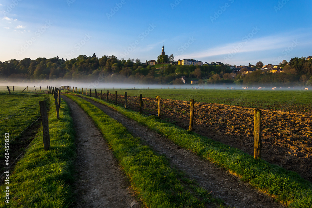 Typical landscape of the Belgian countryside on a beautiful misty spring day. Municipality of Florenville, Wallonia, province of Luxembourg, Belgium
