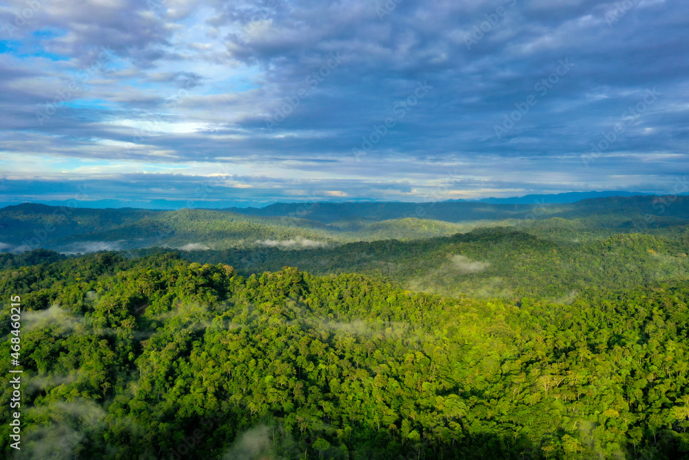 Tropical forest in the Amazon at the foot hills of the Andes in Ecuador: An aerial view with a beautiful blue cloudscape