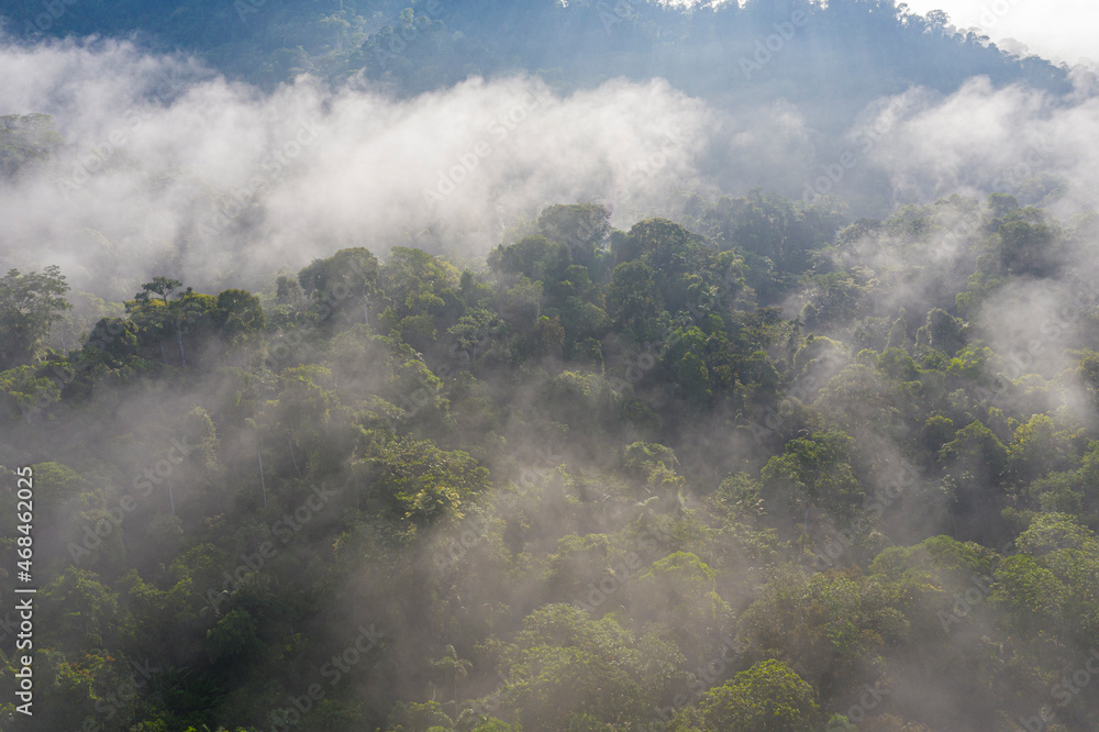 Aerial view over a tropical forest in Ecuador, South America: the tree canopy is covered in fog