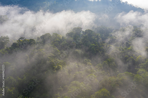 Aerial view over a tropical forest in Ecuador  South America  the tree canopy is covered in fog