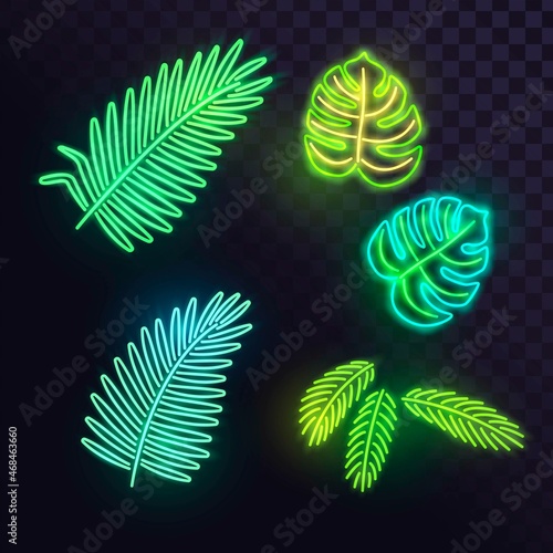 Set of glowing neon tropical plant leaves on dark background