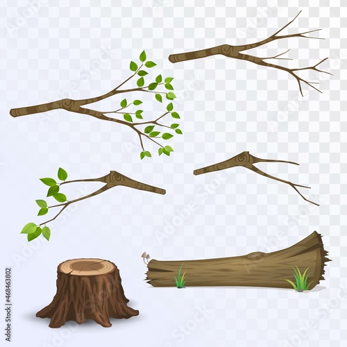Set of branches with and without leaves, branch and log, collection of tree parts