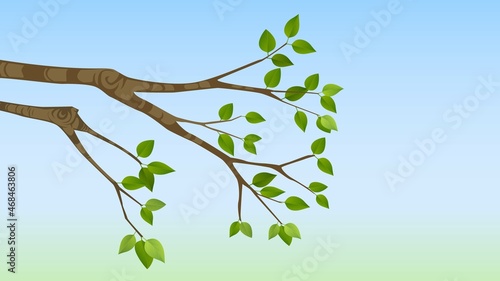 Branches of a tree with green leaves on a blurred background