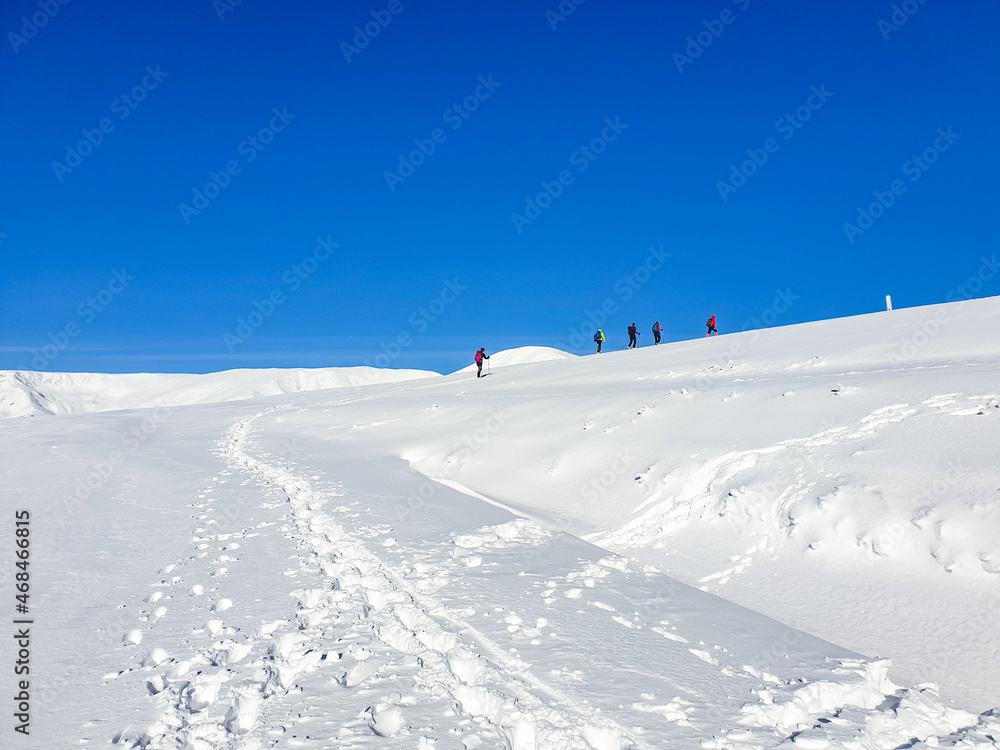 skier on the slope, Papusa Mountains, Romania skier on the slope, Papusa Mountains, Romania
