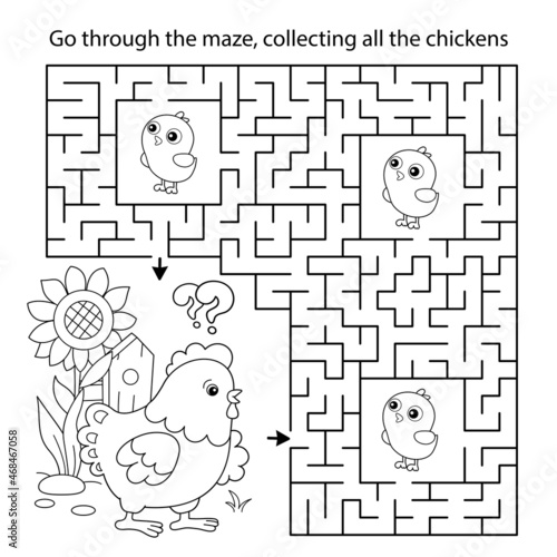Maze or Labyrinth Game. Puzzle. Coloring Page Outline Of cartoon chicken with little chicks. Coloring book for kids.