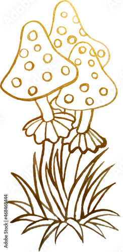 mushrooms, line drawing, magic items fly agaric