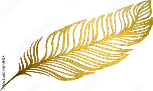 Set of bird feathers. Hand drawn illustration converted to vector. Outline with transparent background