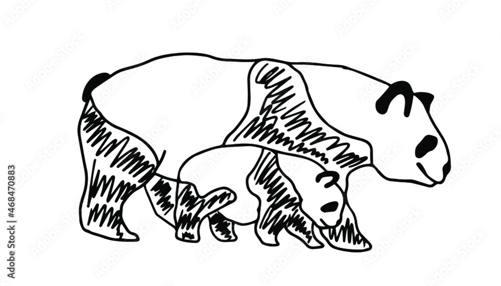 Obraz premium Pandas in doodle style. Isolated vector.