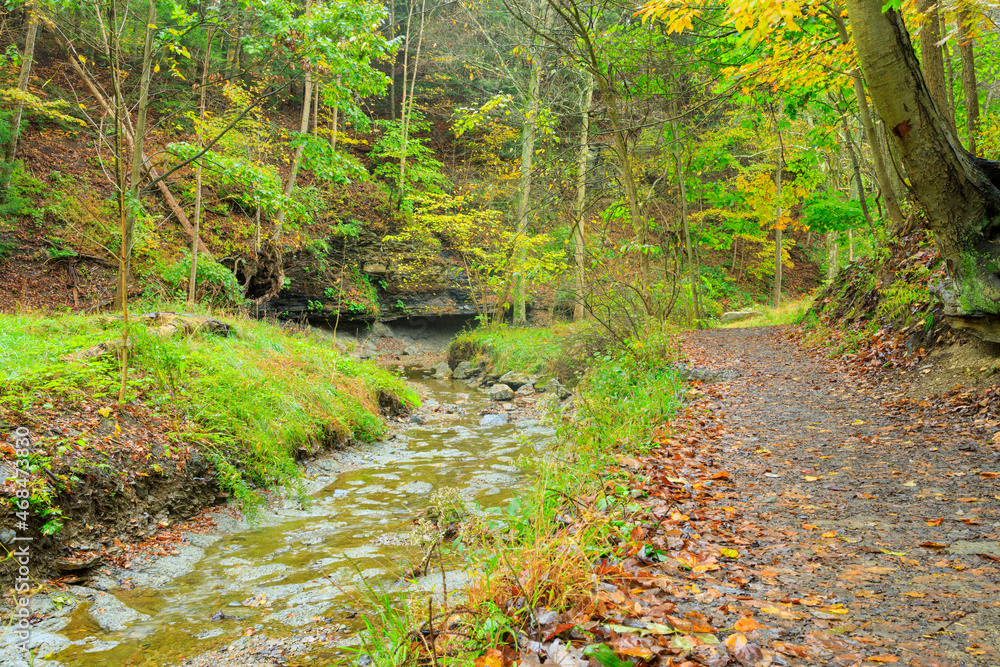 A walking path going through a pretty forest with a stream running next to it and some Fall leaves. A walking path going through a pretty forest with a stream running next to it and some Fall leaves.