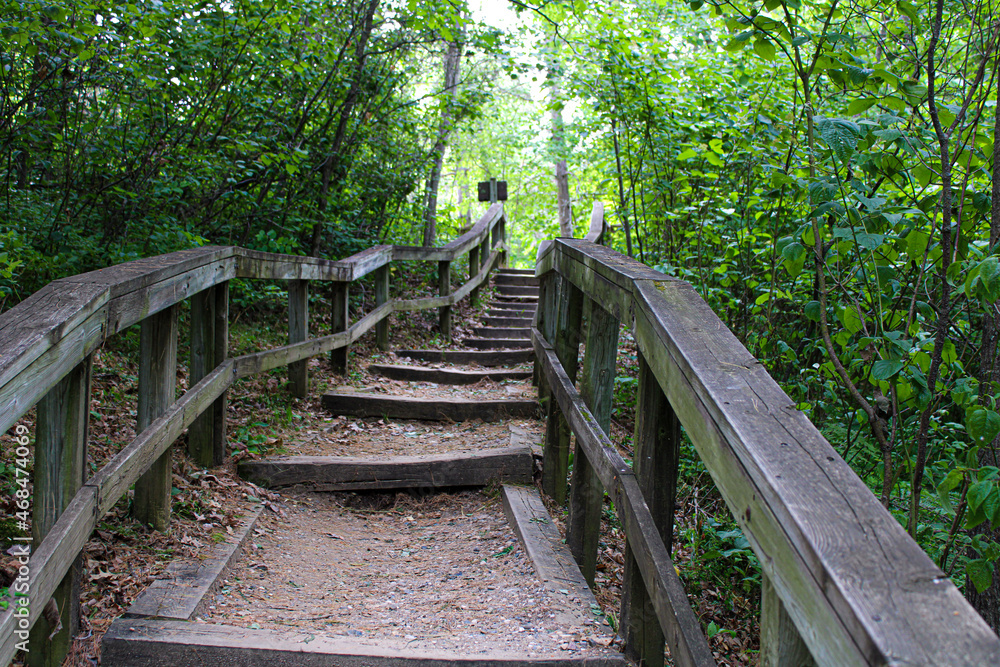 Obraz premium wooden stairs in the woods