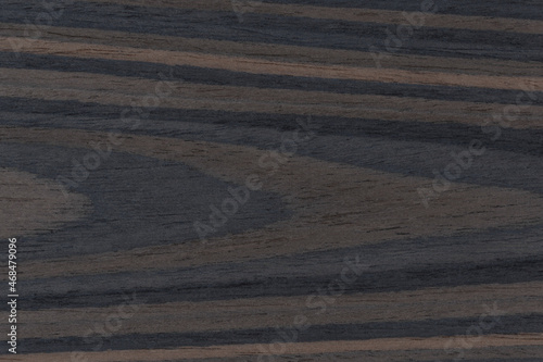 Texture of  Exotic Grey Wenge Wood veneer