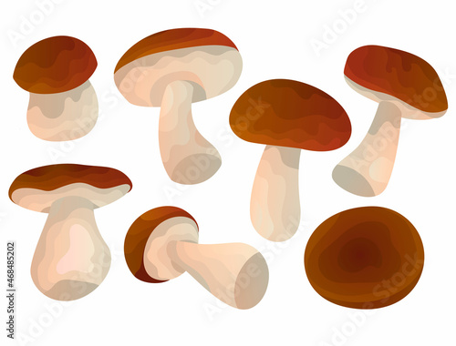 Vector set with a wild White isolated tubular Mushrooms and a red, brown hat in different positions white background. Concept of food. You can use elements in web design, banners, etc.