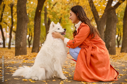 Young woman with cute Samoy...