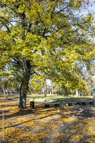 Autumn Landscape of Borisova gradina (Boris Garden) in Sofia, Bulgaria photo