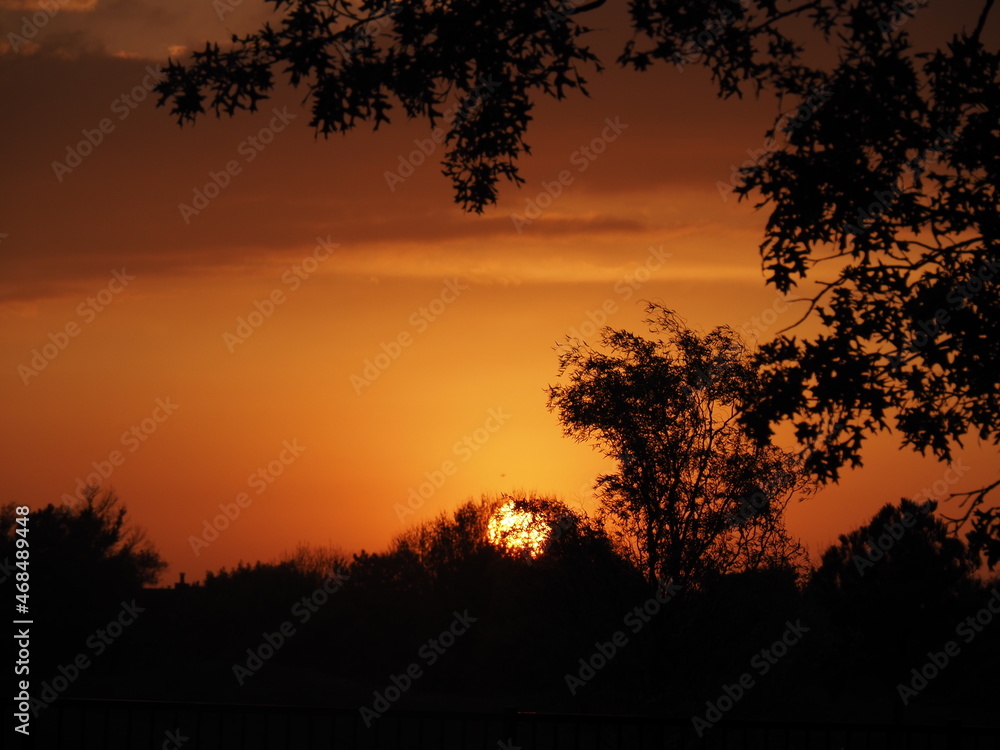 Sun setting behind trees producing an orange sunset in Wichita, Kansas.