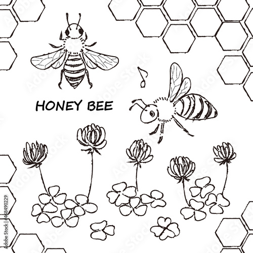 honey bee and clover Line drawing 