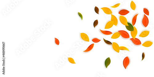 Falling autumn leaves. Red, yellow, green, brown n