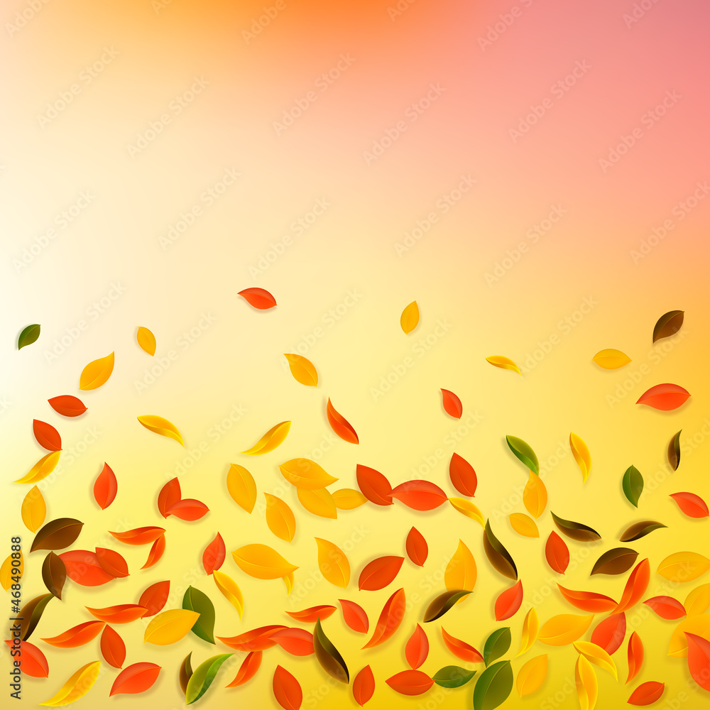 Falling autumn leaves. Red, yellow, green, brown c