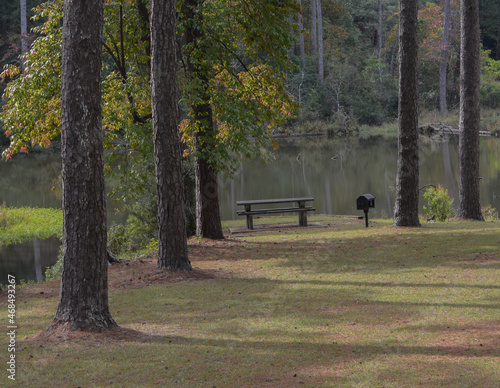 Relaxing picnic area at Homochitta National Forest Recreation Area in Natchez, Mississippi © Norm
