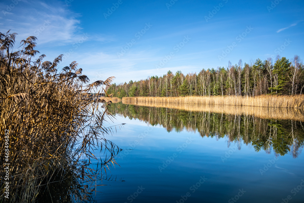 forest-lake-autumn-leaves-frost-jaworzno-poland-polska