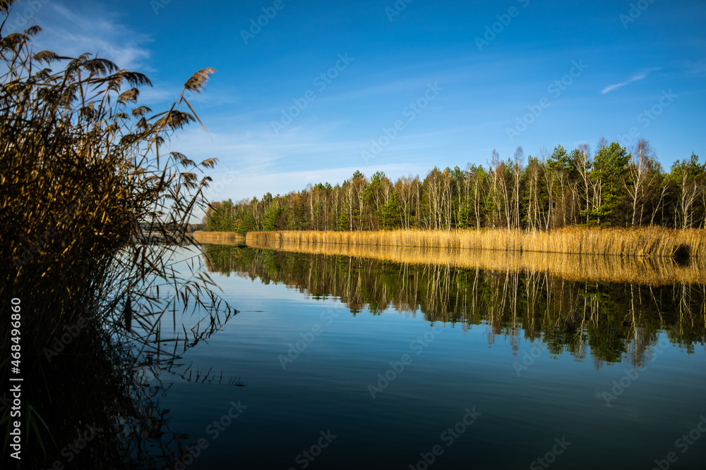 forest-lake-autumn-leaves-frost-jaworzno-poland-polska