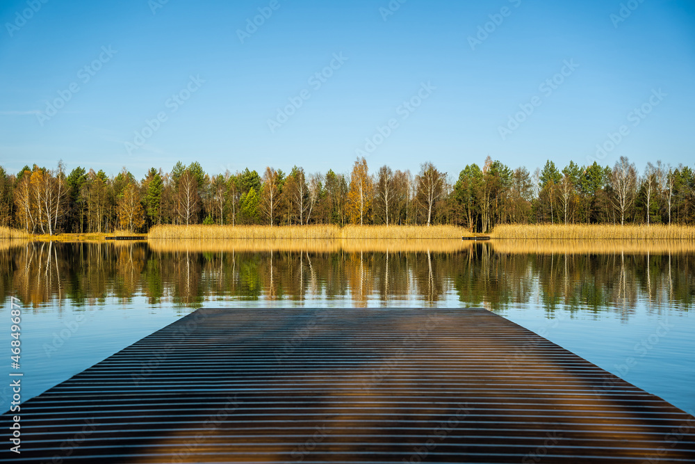 forest-lake-autumn-leaves-frost-jaworzno-poland-polska