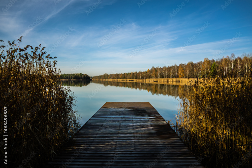 forest-lake-autumn-leaves-frost-jaworzno-poland-polska
