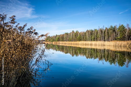 Obraz na płótnie forest-lake-autumn-leaves-frost-jaworzno-poland-polska w salonie