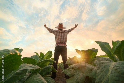 Photography Happy farmer agricultural success quality product plantation Agronomist in Field
