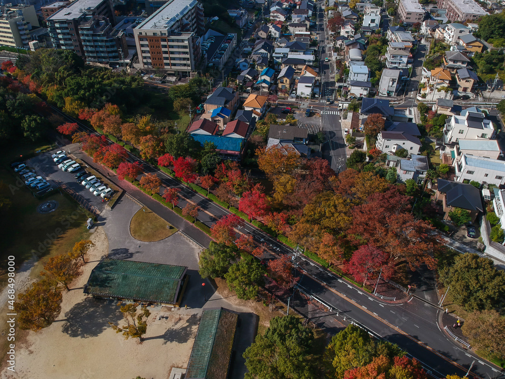 ドローンで空撮した秋の名古屋の街並みと紅葉の風景