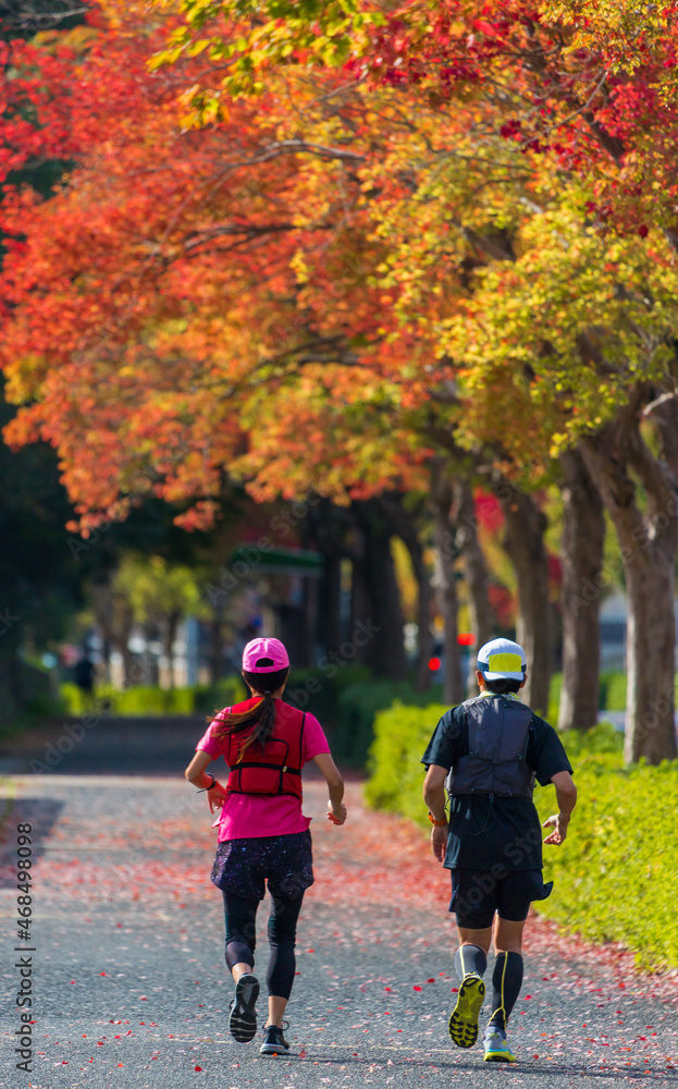 紅葉シーズンの道でジョギングしている男女 紅葉シーズンの道でジョギングしている男女