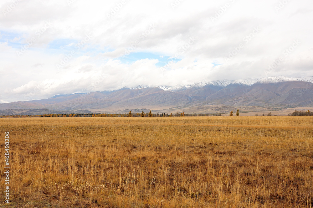 Autumn desert steppe with dry grass at the foot of high mountains covered with snow.