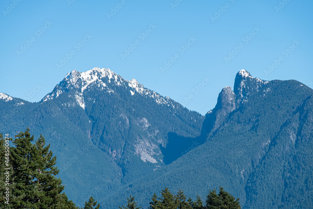 mountain range covered by forest with patches of snow on the summit under the clear blue sky on a sunny day