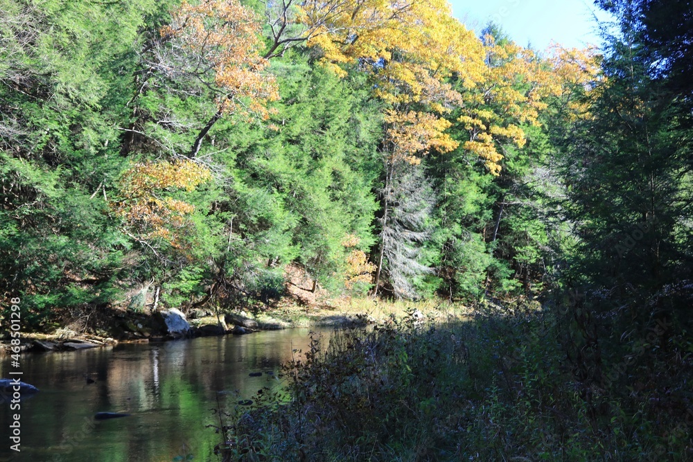 Fototapeta premium Stream in Forest at autumn