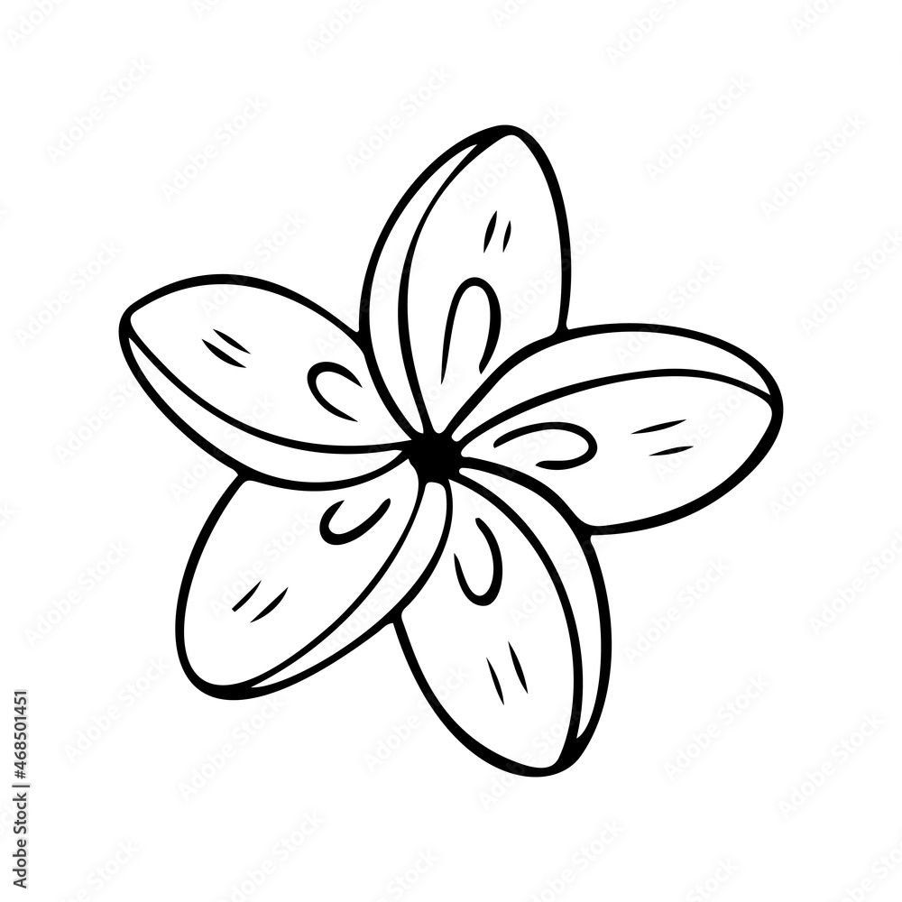 Plumeria flower outline. Frangipani line art vector illustration isolated on white background. Plumeria silhouette icon, blossom doodle and simple element. Plumeria flower outline. Frangipani line art vector illustration isolated on white background. Plumeria silhouette icon, blossom doodle and simple element.