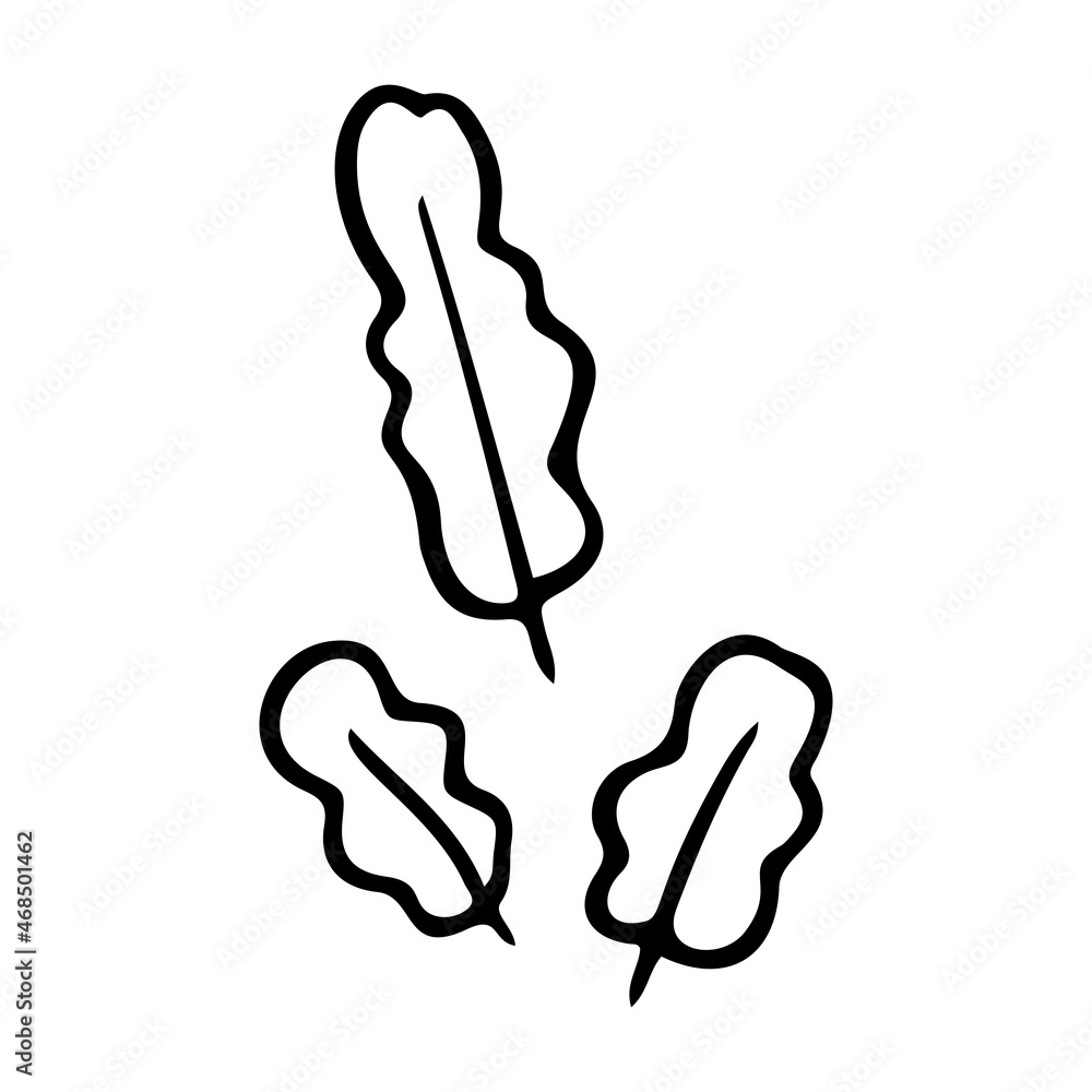 Tropic grass, leaf stylized vector illustration. Doodle illustration. Leaves of palm tree rainforest isolated on white background. Tropic grass, leaf stylized vector illustration. Doodle illustration. Leaves of palm tree rainforest isolated on white background.