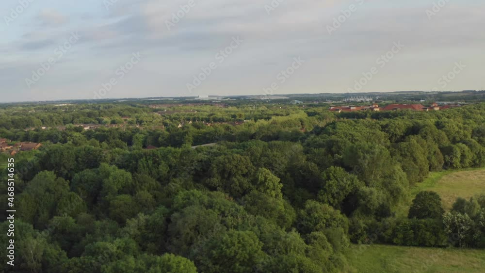 360 degree view of a beautiful meadow containing lush green farmlands, a sparkling stream and dense forest. 360 degree view of a beautiful meadow containing lush green farmlands, a sparkling stream and dense forest.