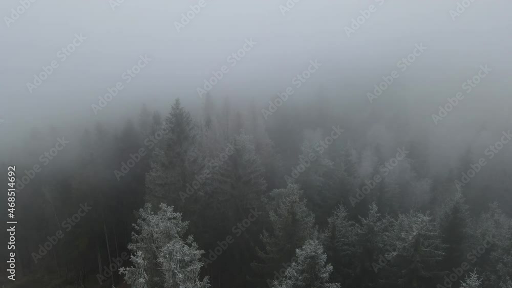 Flying over a snowy landscape with trees and grass on the ground during a thick fog. Flying over a snowy landscape with trees and grass on the ground during a thick fog.