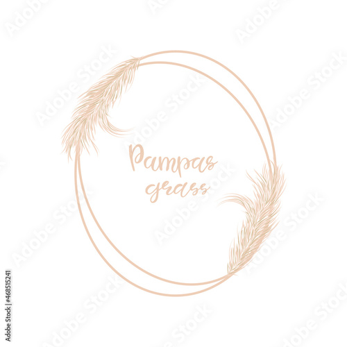 Dry Pampas grass soft oval frame for wedding invitations or postcards. Background in boho style. Flat lay with copy space, top view. Vector hand drawn illustration on a white isolated background