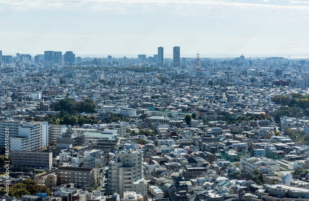 高層ビルから見る東京の風景
