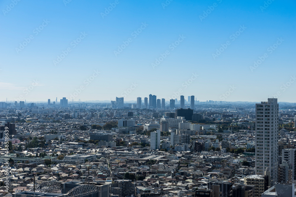Fototapeta premium 高層ビルから見る東京の風景