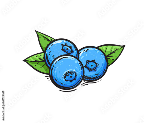 Hand drawn sketch black and color blueberry branch, fruit, berry, leaf. Vector illustration. Elements in graphic style label, card, sticker, menu, package. Engraved style.