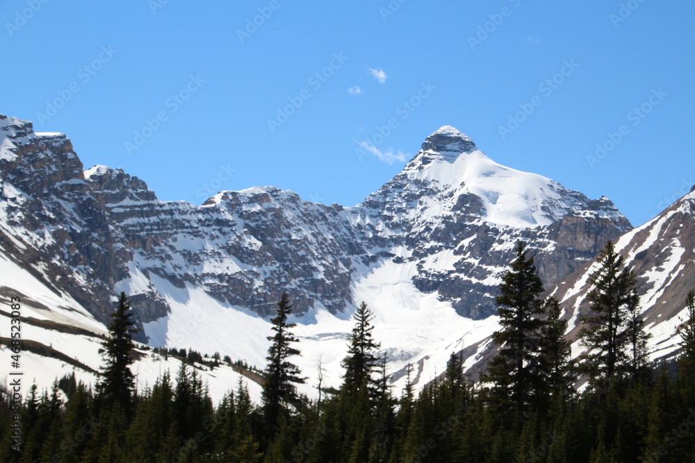 snow covered mountains, Jasper National Park, Alberta