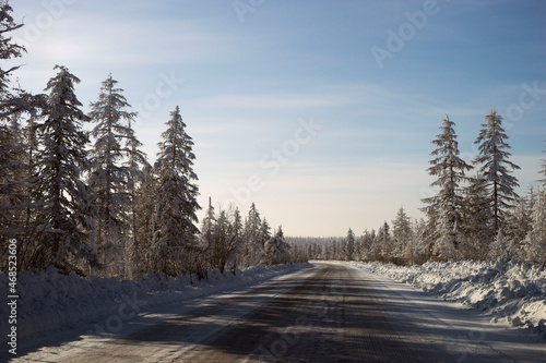 road in winter forest