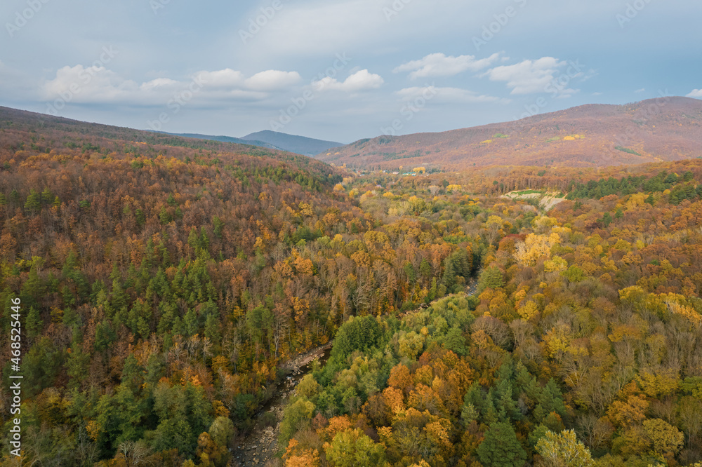 Colorful autumn view of the Caucasus mountains. Great view of the yellow trees.