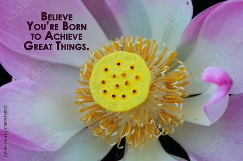 Inspirational motivational quote - Believe you are born to achieve great things. With close up of an amazing carpellary receptacle of Lotus flower or nelumbo nucifera. photo