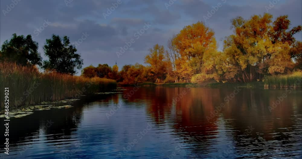 Copter flies over the water surface of the lake, dark water. Beautiful autumn landscape, golden foliage of trees and gray clouds are reflected in the water. Water lilies and reeds in the lake, rural Copter flies over the water surface of the lake, dark water. Beautiful autumn landscape, golden foliage of trees and gray clouds are reflected in the water. Water lilies and reeds in the lake, rural