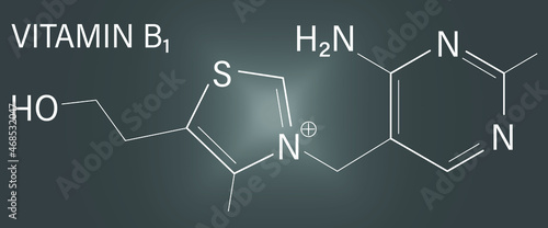 Vitamin B1 (thiamine) molecule. Skeletal formula.	
