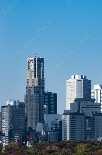 新宿副都心の高層ビル群 渋谷から撮影